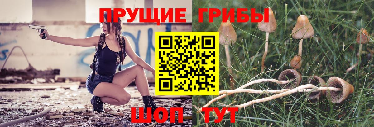 Псилоцибиновые грибы GOLDEN TEACHER Советск