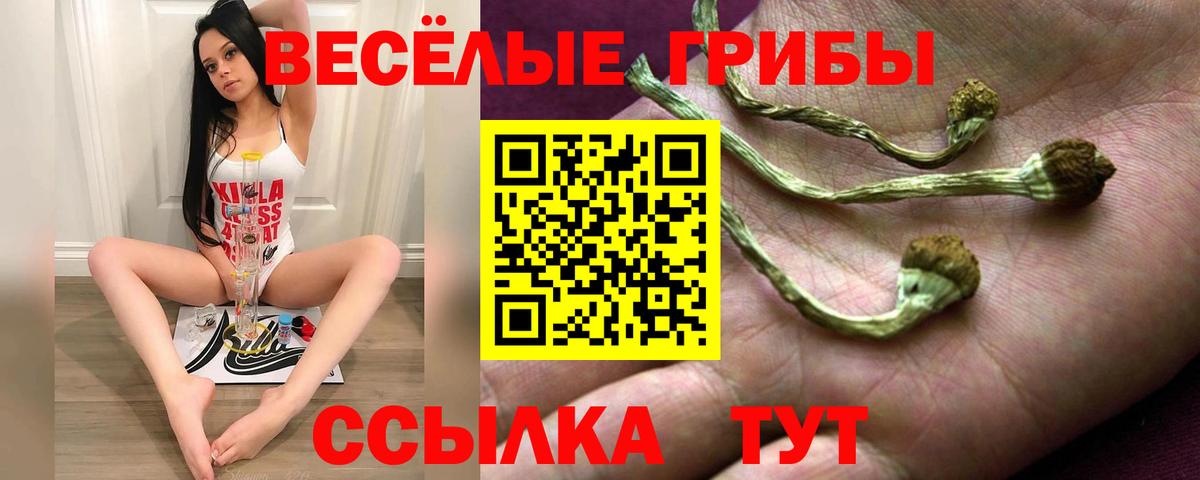Галлюциногенные грибы мухоморы  Вход с VPN  Советск  Галлюциногенные грибы ЛСД 